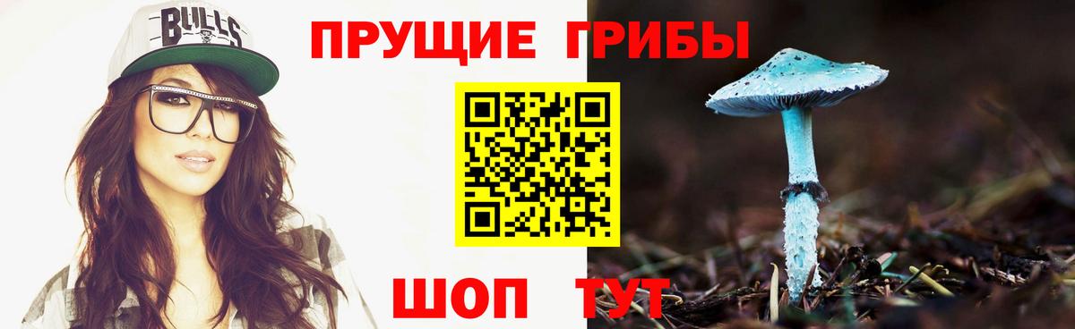 Мыски  Псилоцибиновые грибы прущие грибы  Вход с VPN 